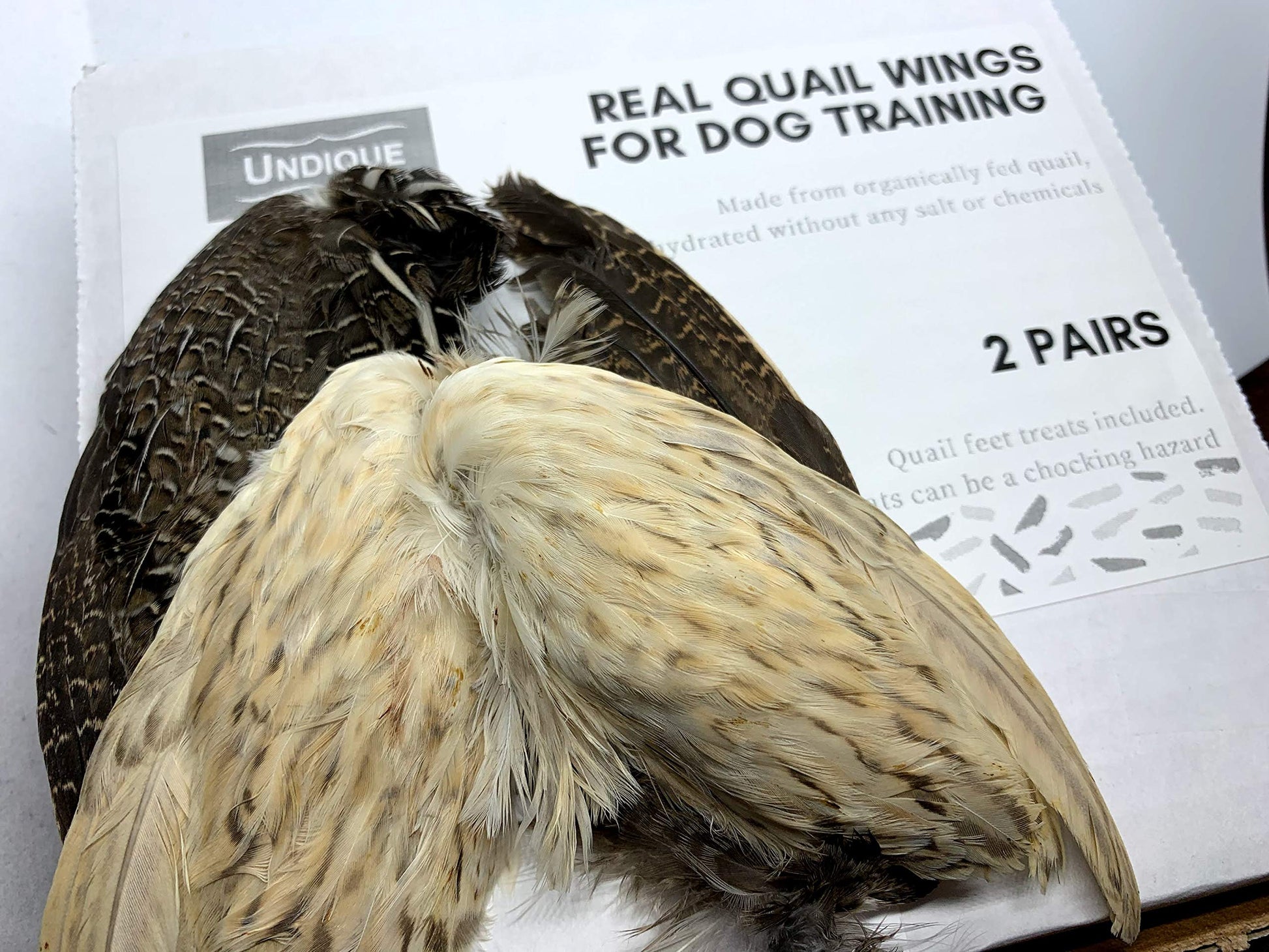 Real Quail Wings for Dog Training 2 Pair Quailz.com by Undique LLC