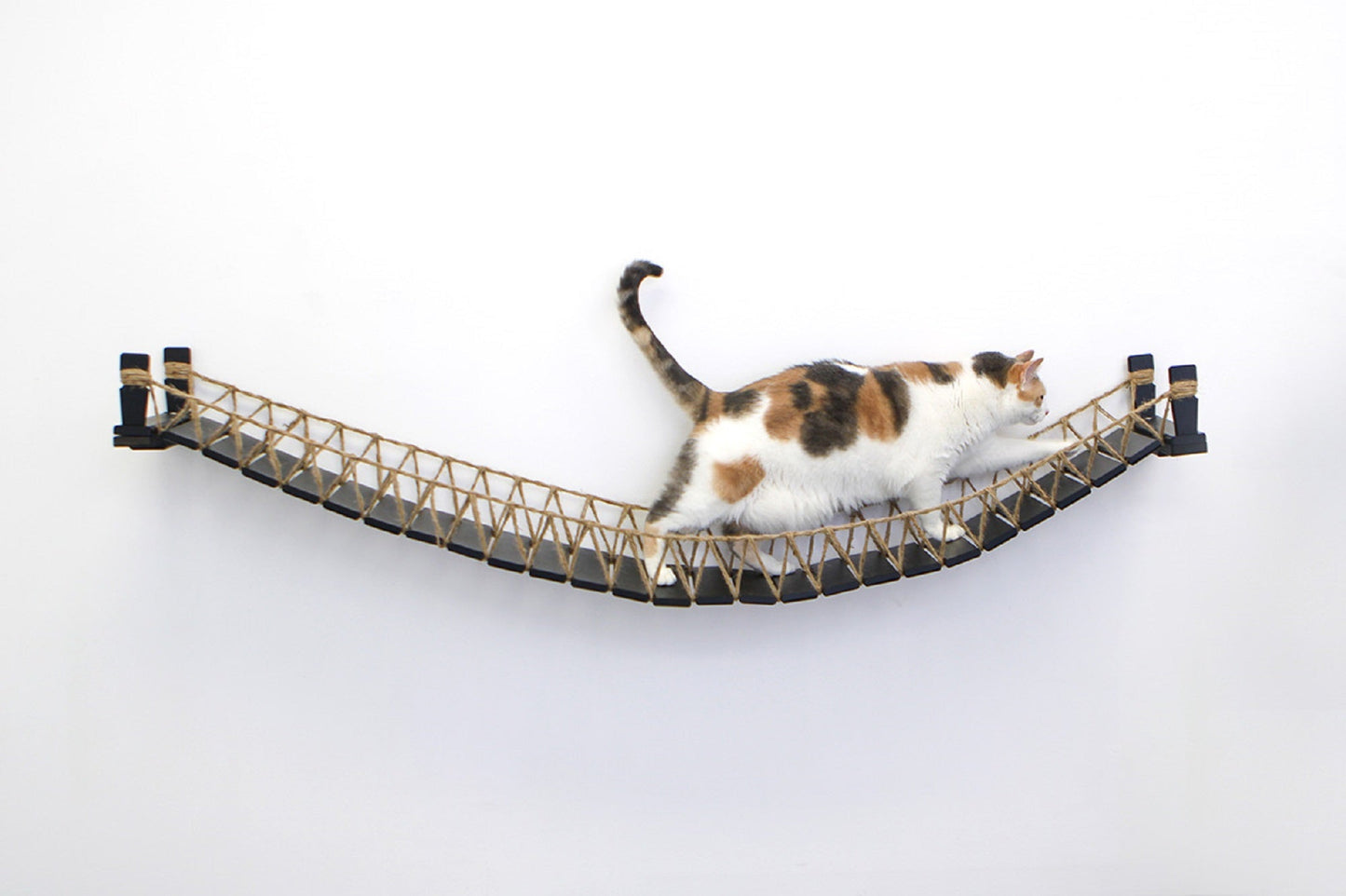 Cat Bridge for Wall Cat Bridge Catastrophic Creations