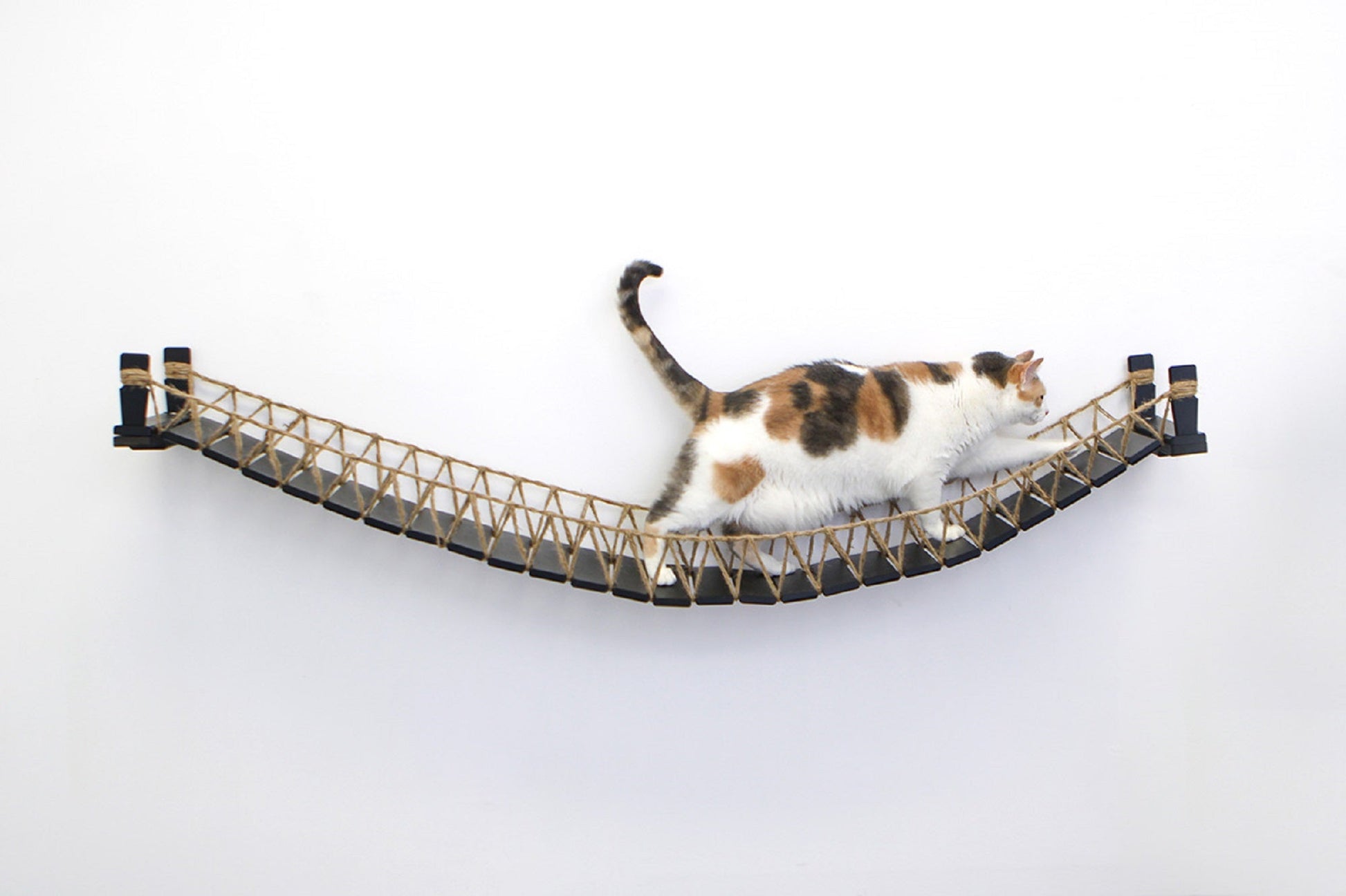 Cat Bridge for Wall Cat Bridge Catastrophic Creations