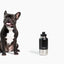 Pup Pak Dog Water Bottle with Detachable Bowls Dog Travel Bottles and Bowls Pup Pak
