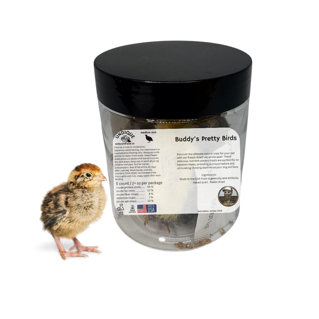 Whole Quail Chick for Carnivore Pets - Natural Prey Feeding - Quality Protein Source Medium Size Chicks 5 Count Default Title Quailz.com by Undique LLC