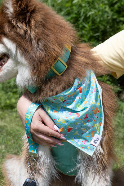 Seaside Sips Dog Bandana & Matching Keychain Dog Bandana Aria the Fox
