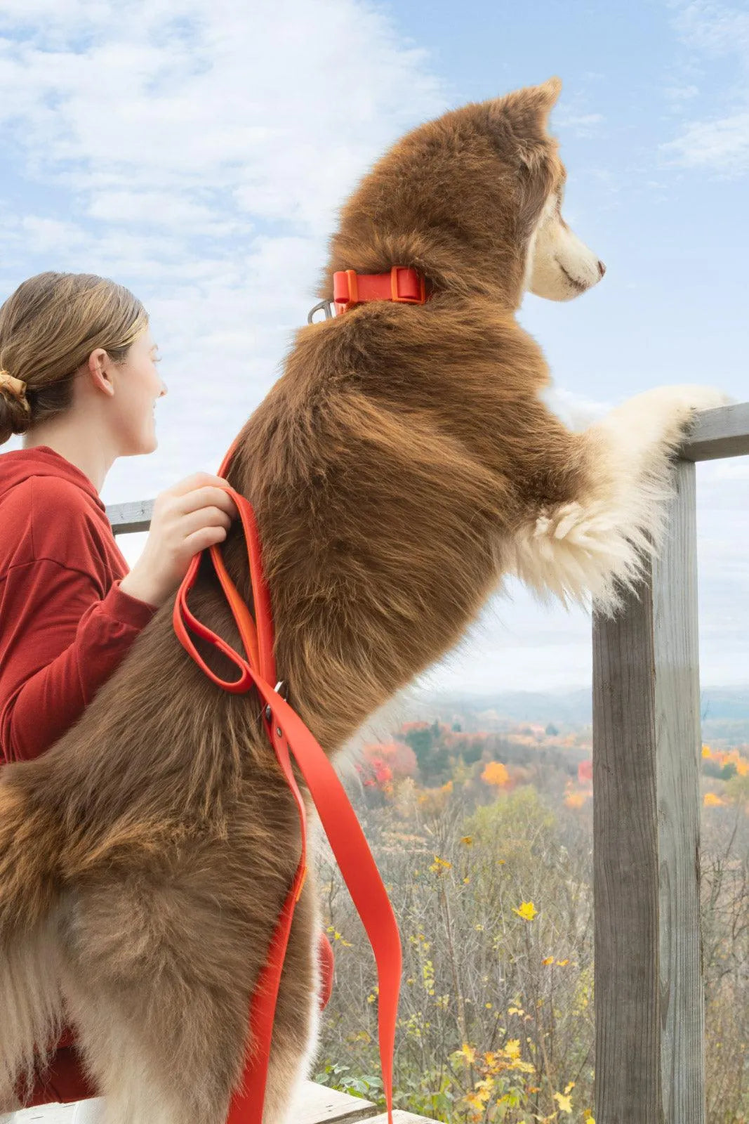 Scarlet Peaks Waterproof Dog Collar Collar Aria the Fox