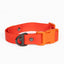 Scarlet Peaks Waterproof Dog Collar Autumn Red Flame Orange Collar Aria the Fox