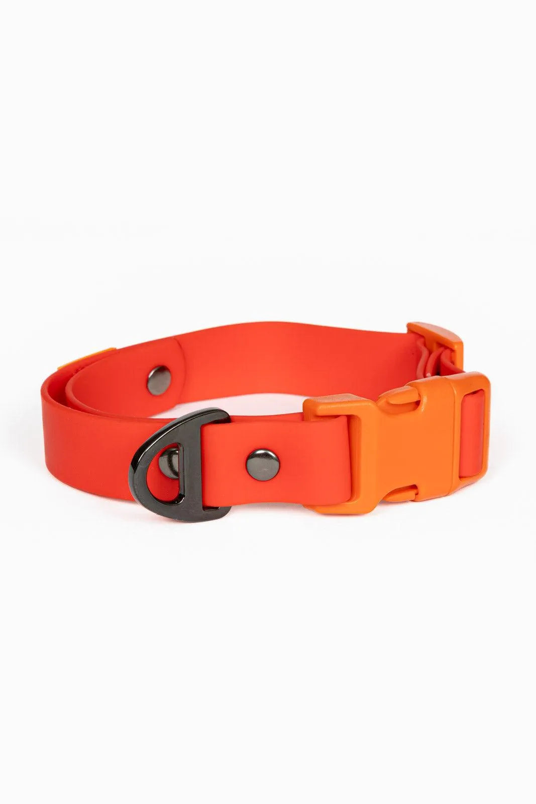 Scarlet Peaks Waterproof Dog Collar Autumn Red Flame Orange Collar Aria the Fox