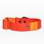 Scarlet Peaks Waterproof Dog Collar Collar Aria the Fox