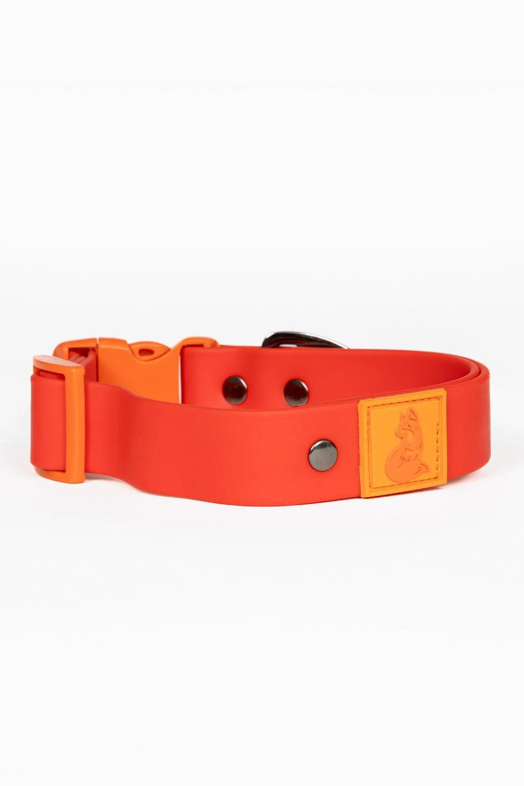 Scarlet Peaks Waterproof Dog Collar Collar Aria the Fox