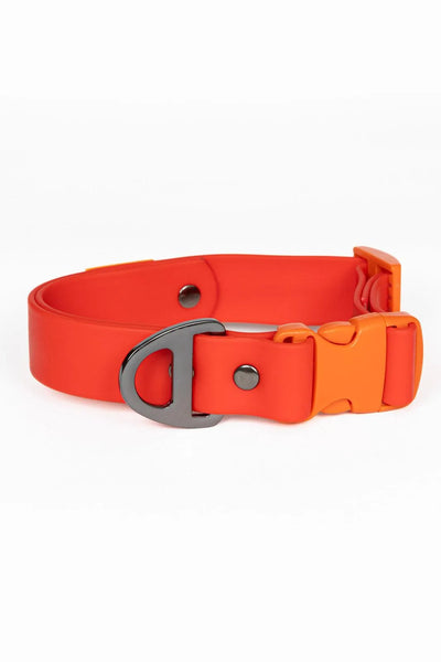 Scarlet Peaks Waterproof Dog Collar Autumn Red Flame Orange Collar Aria the Fox