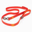 Scarlet Peaks Waterproof Leash Leash Aria the Fox