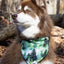 Evergreen Explorer Dog Bandana & Matching Keychain Dog Bandana Aria the Fox