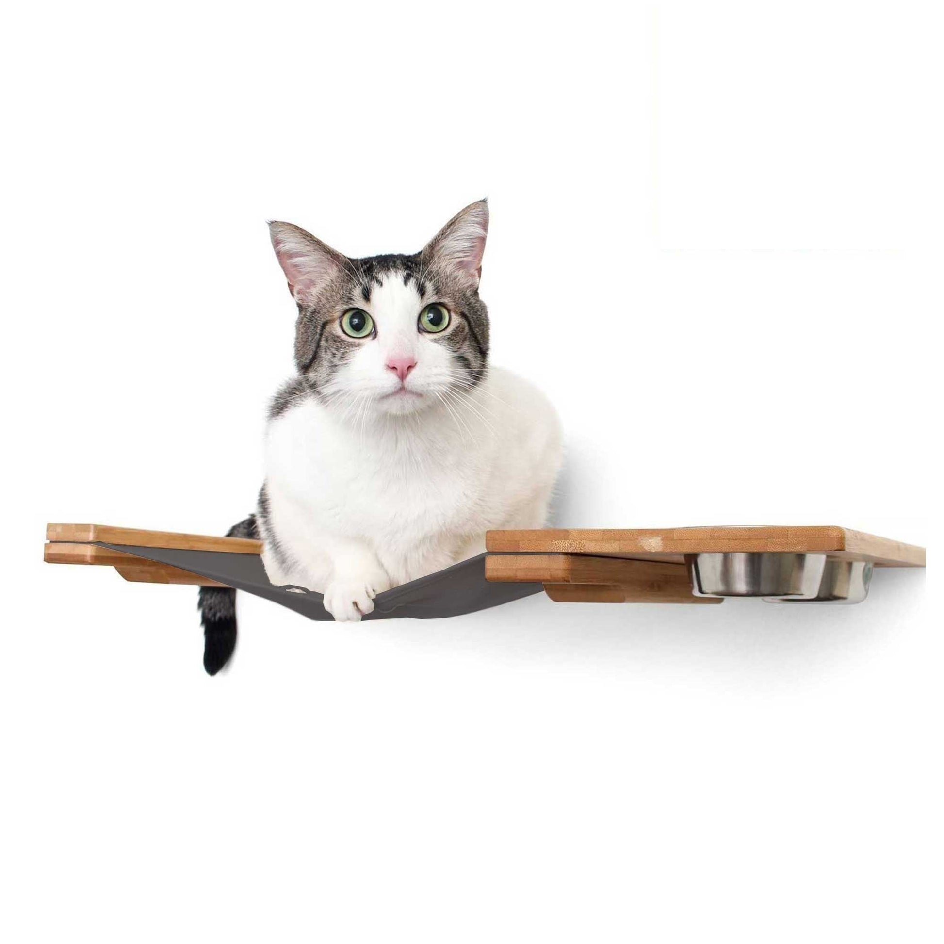 Dog Proof Cat Feeder - Wall-Mounted - Raised Cat Hammock Catastrophic Creations