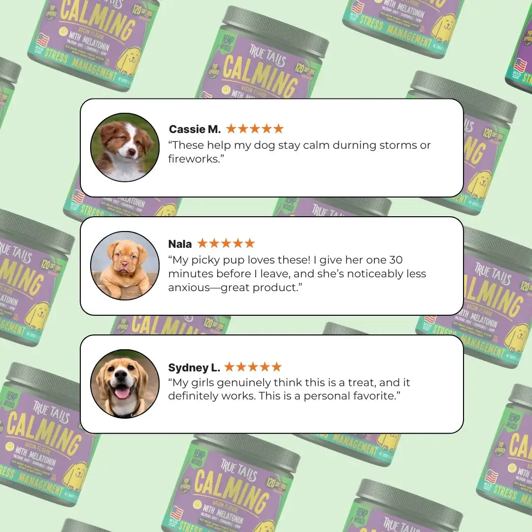 Calming Support With Hemp For Dogs 9oz Jar (120 Count) Dog Soft Chews Dogline