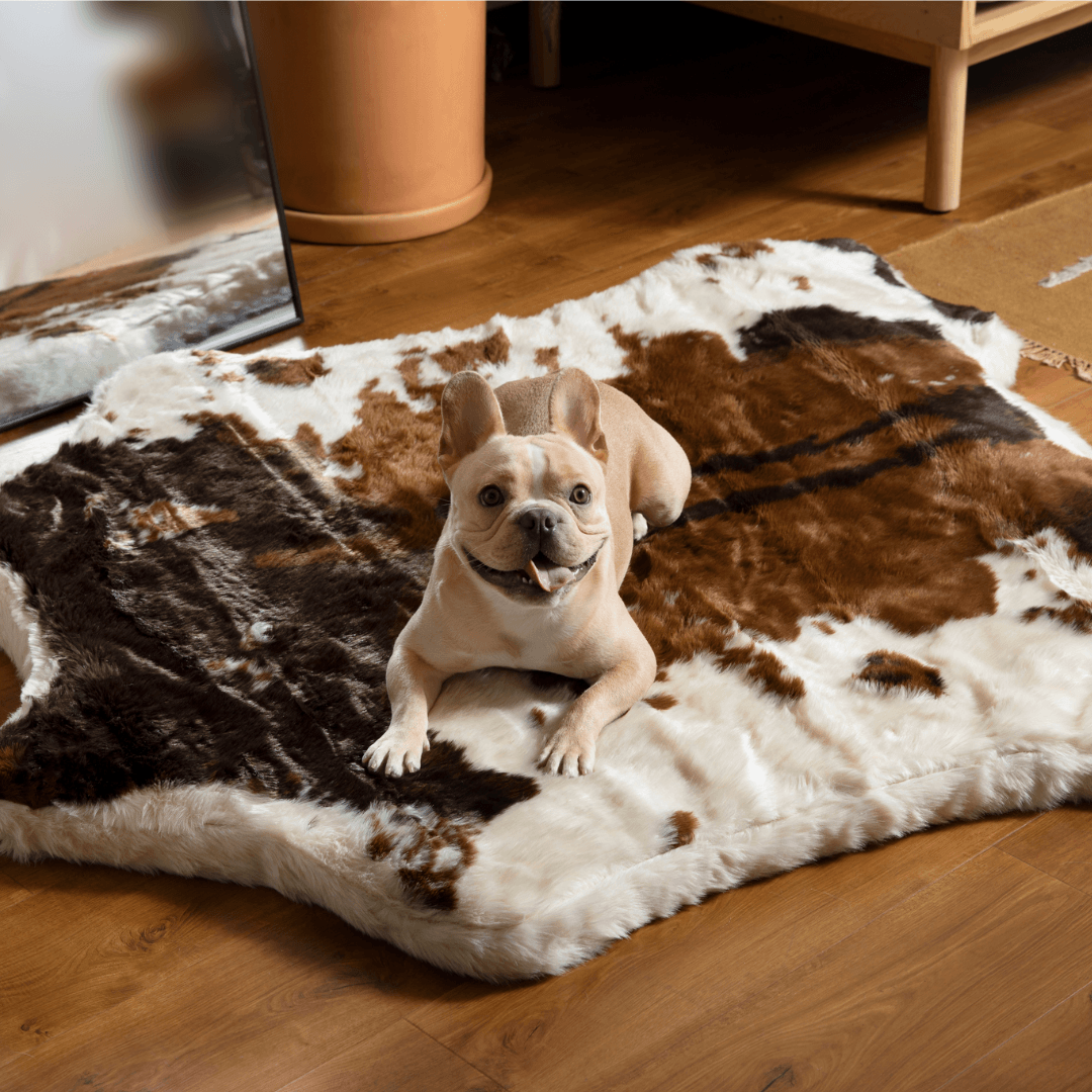 PupRug® Animal Print Memory Foam Dog Bed - Brown Faux Cowhide Dog Beds Paw.com
