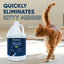 Cat Stain and Odor Eliminator Pet & Animal > Cat Stain & Odor EcoStrong