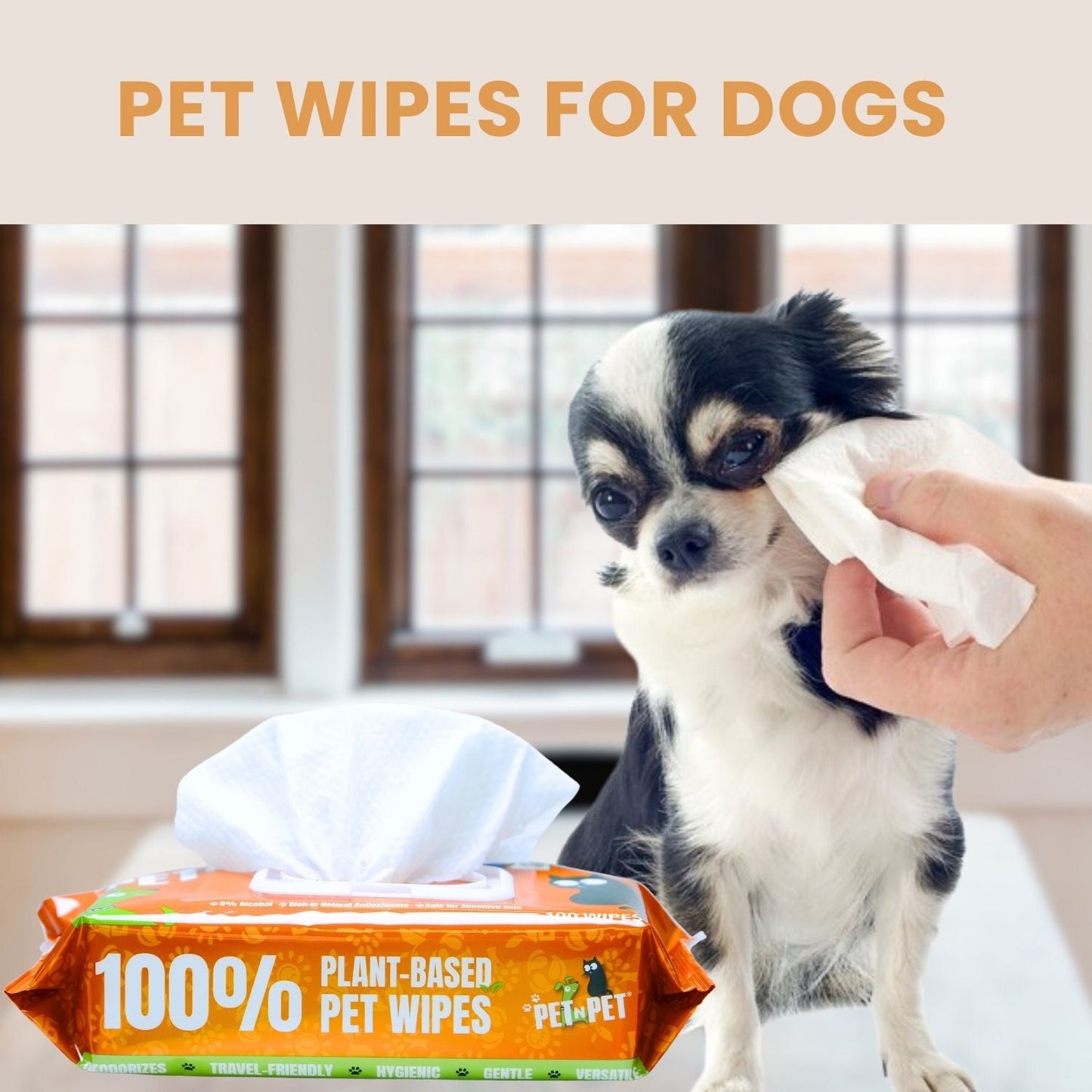 Dog Wipes Cleaning & Deodorizing 100 Count Pet Wipes Pet N Pet ®