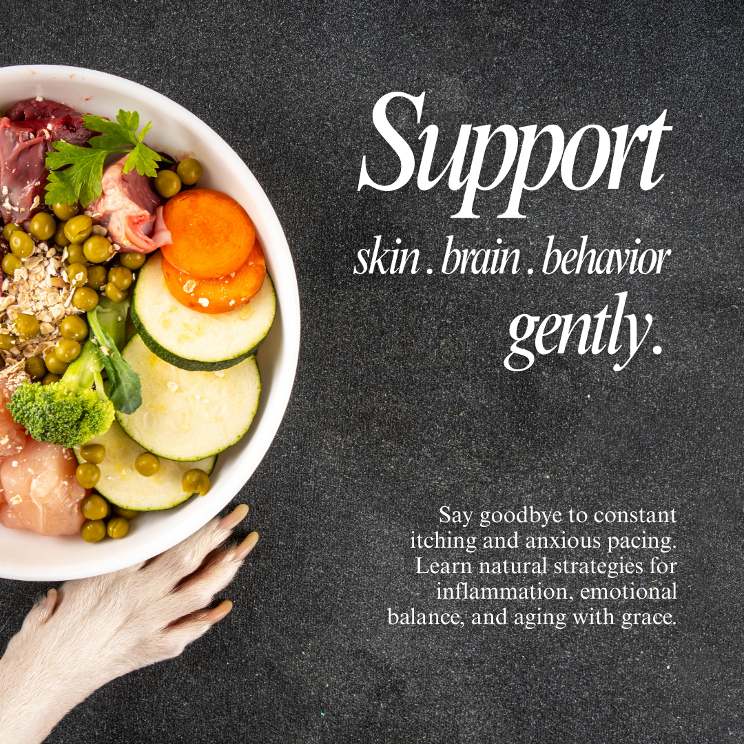 Whole Pet Wellness Academy: The Pet Parent Holistic Health Toolkit DIY Holistic Health Course Dr. Ruth Roberts