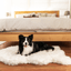 PupRug by Paw.com® Faux Fur Orthopedic Dog Bed - Curve Polar White Dog Beds Paw