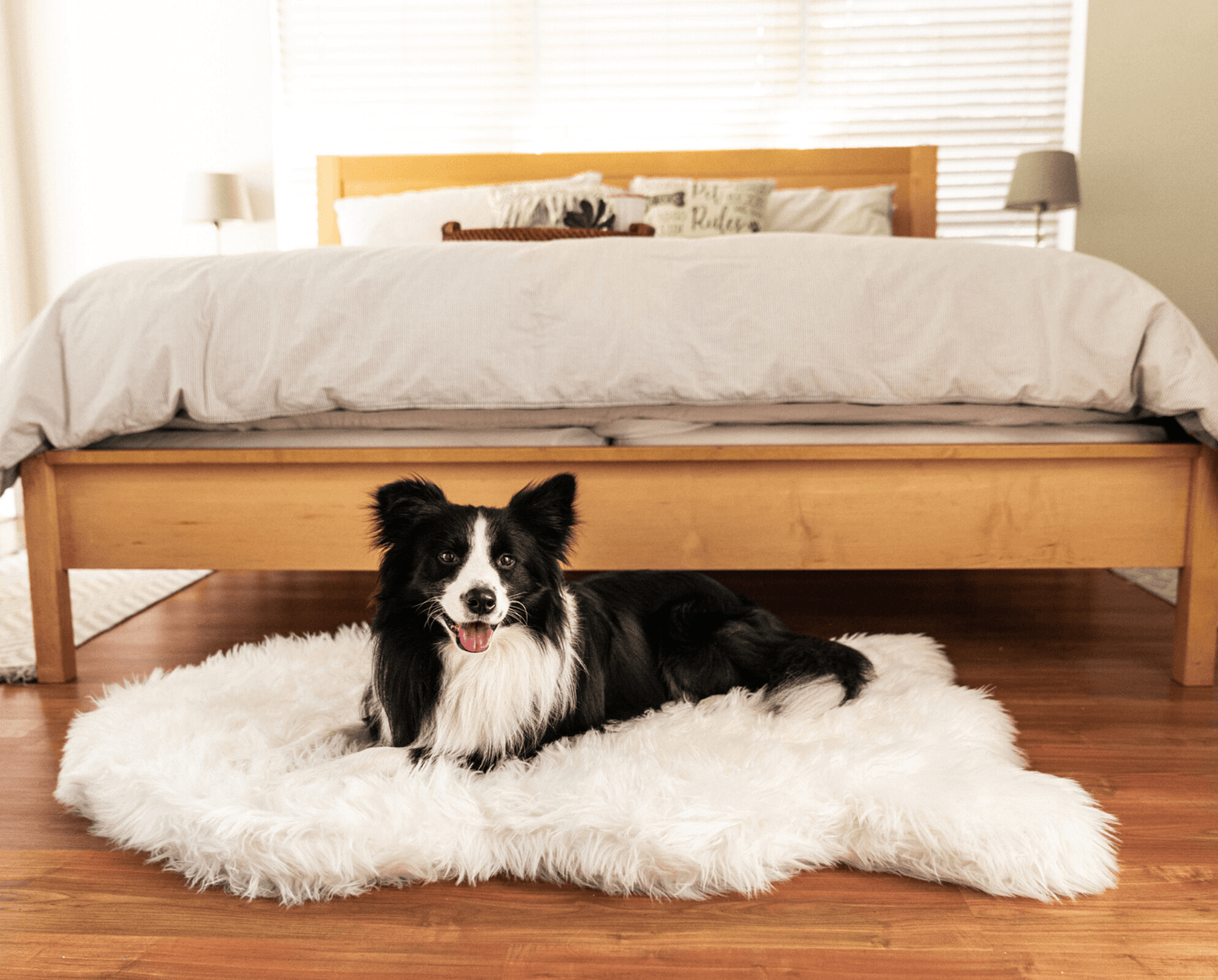 PupRug by Paw.com® Faux Fur Orthopedic Dog Bed - Curve Polar White Dog Beds Paw