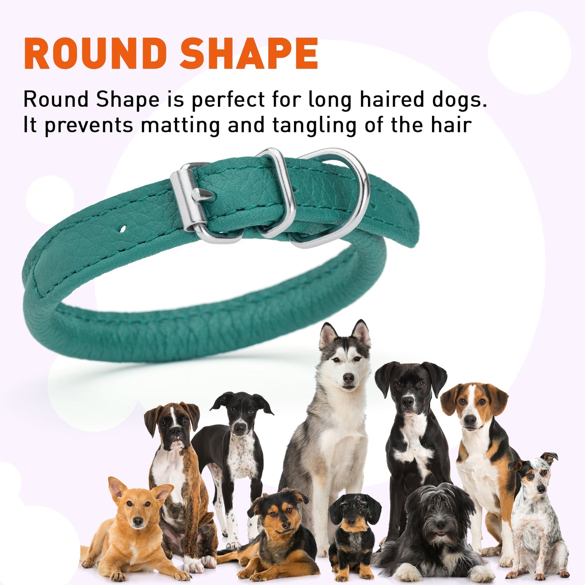 Soft Leather Round Dog Collar Dog Collar Dogline
