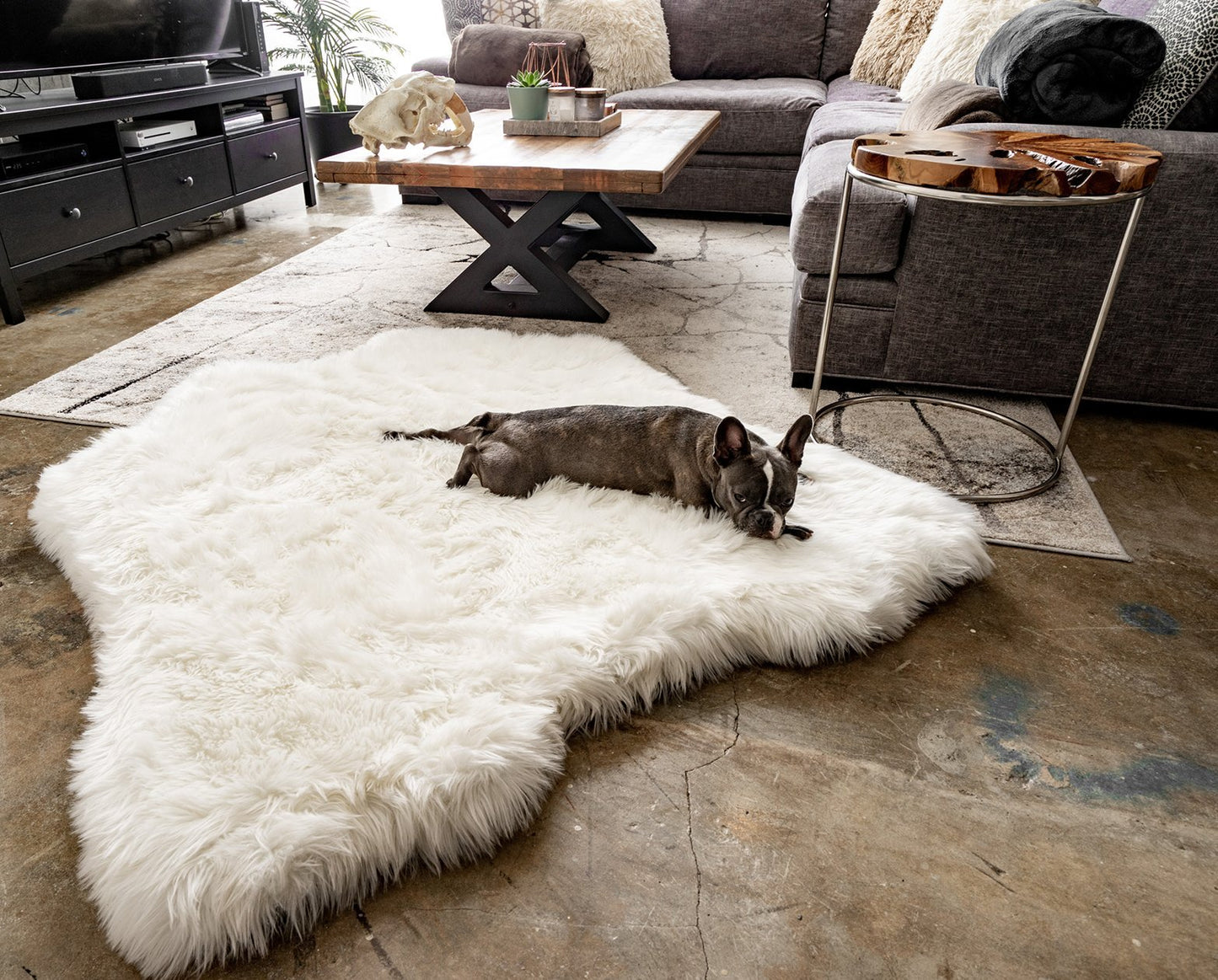 PupRug® Animal Print Memory Foam Dog Bed - Polar Bear Faux Hide Dog Beds Paw