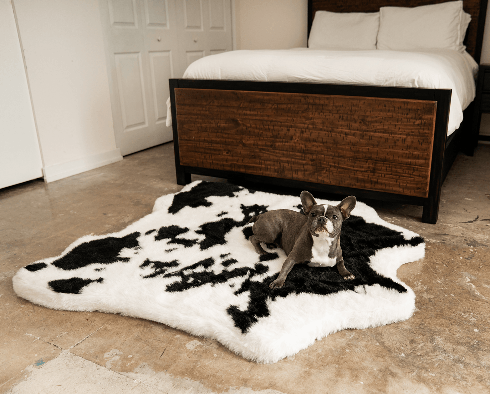 PupRug® Animal Print Memory Foam Dog Bed - Black Faux Cowhide Dog Beds Paw.com