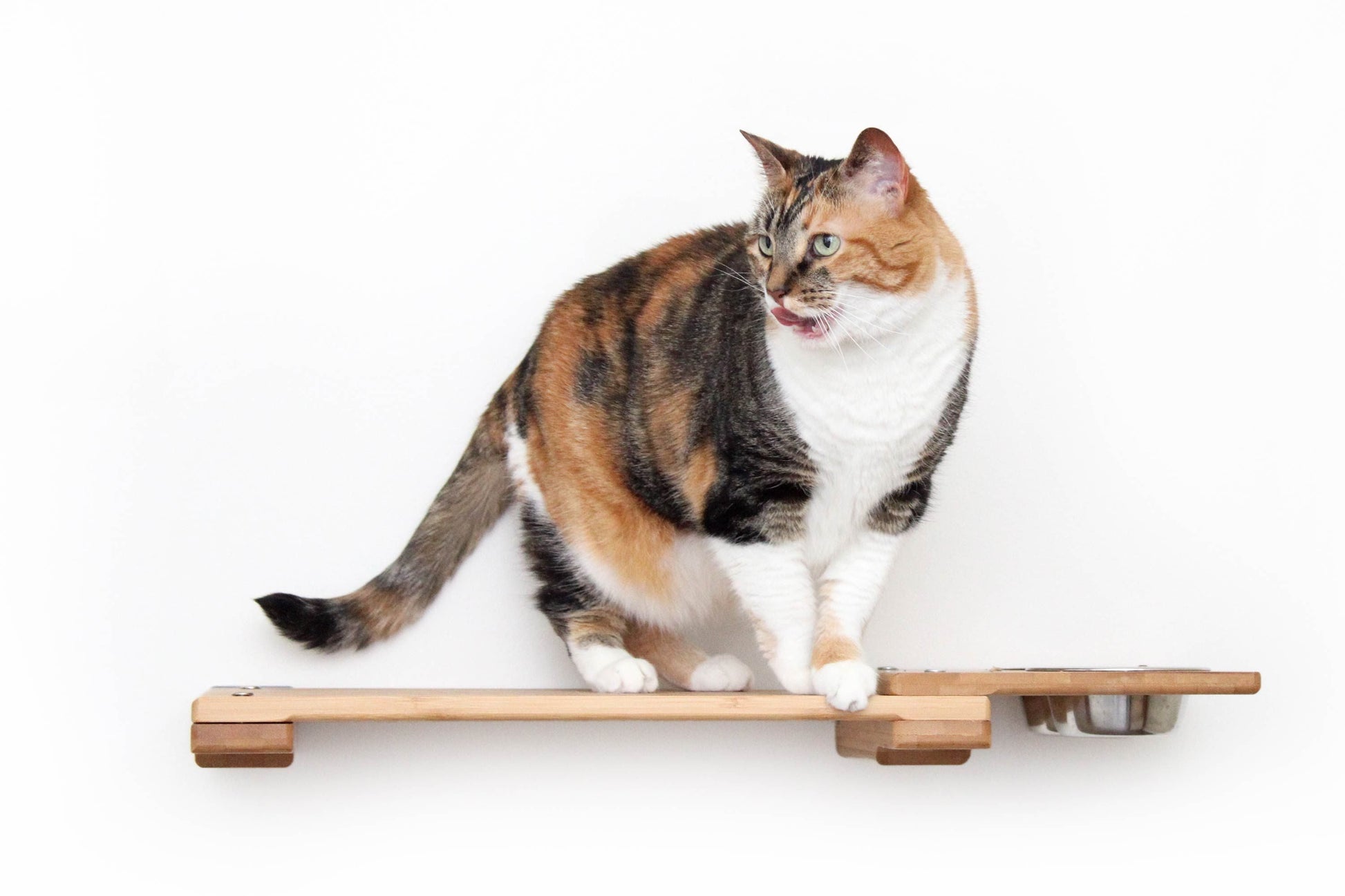 Wall Mounted Cat Feeding Shelf Standard Natural Bamboo 18" Solid Shelf Cat shelves/bed Catastrophic Creations