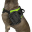 Quest Removable Utility Saddlebags + Built-In Waste Bag Dispenser Dog Harnesses Dogline