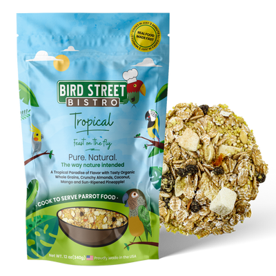 Tropical - Feast on the Fly 11 oz Parrot Food Bird Street Bistro