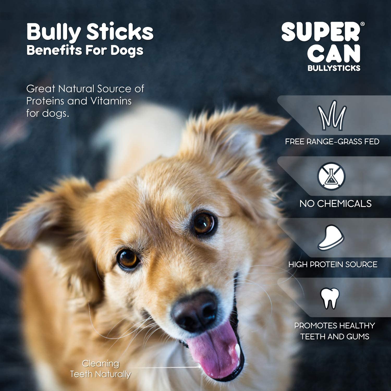 12" Standard Bully Sticks SuperCan Bully Sticks