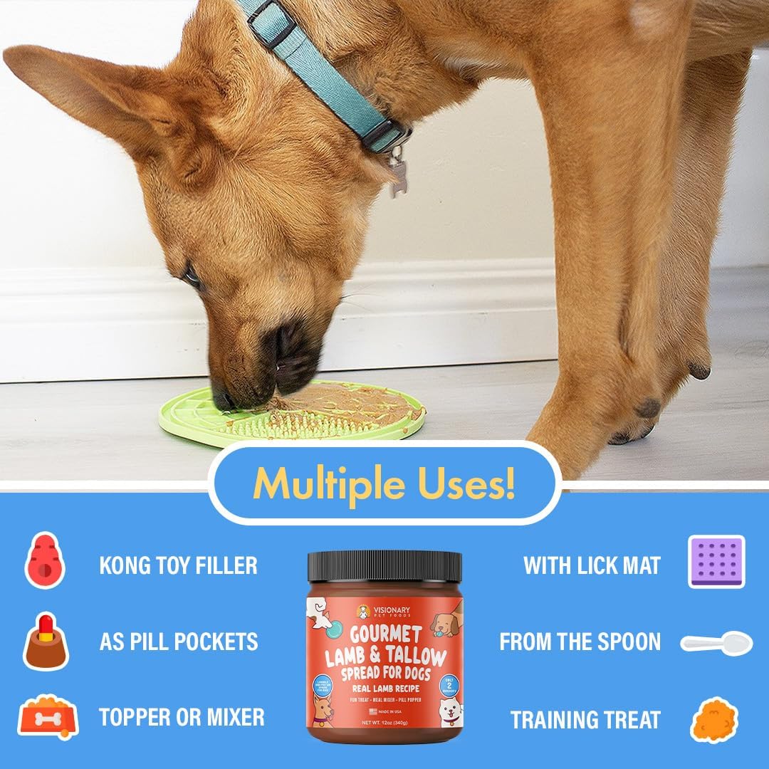 Lamb & Beef Tallow Dog Meat Spread – High-Protein, Low-Carb Keto Treat | 12oz Jar Dog Treat Visionary Pet Foods