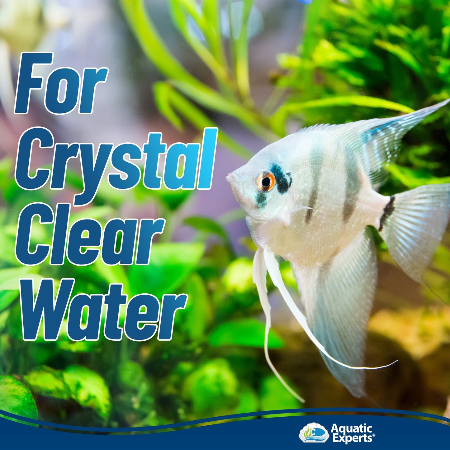 Aquarium Bundle - ClassicBlue 12"x72" + FilterFirst 12"x72" + Polishing Filter Pad 100 Micron - 1 pack Aquatic Experts