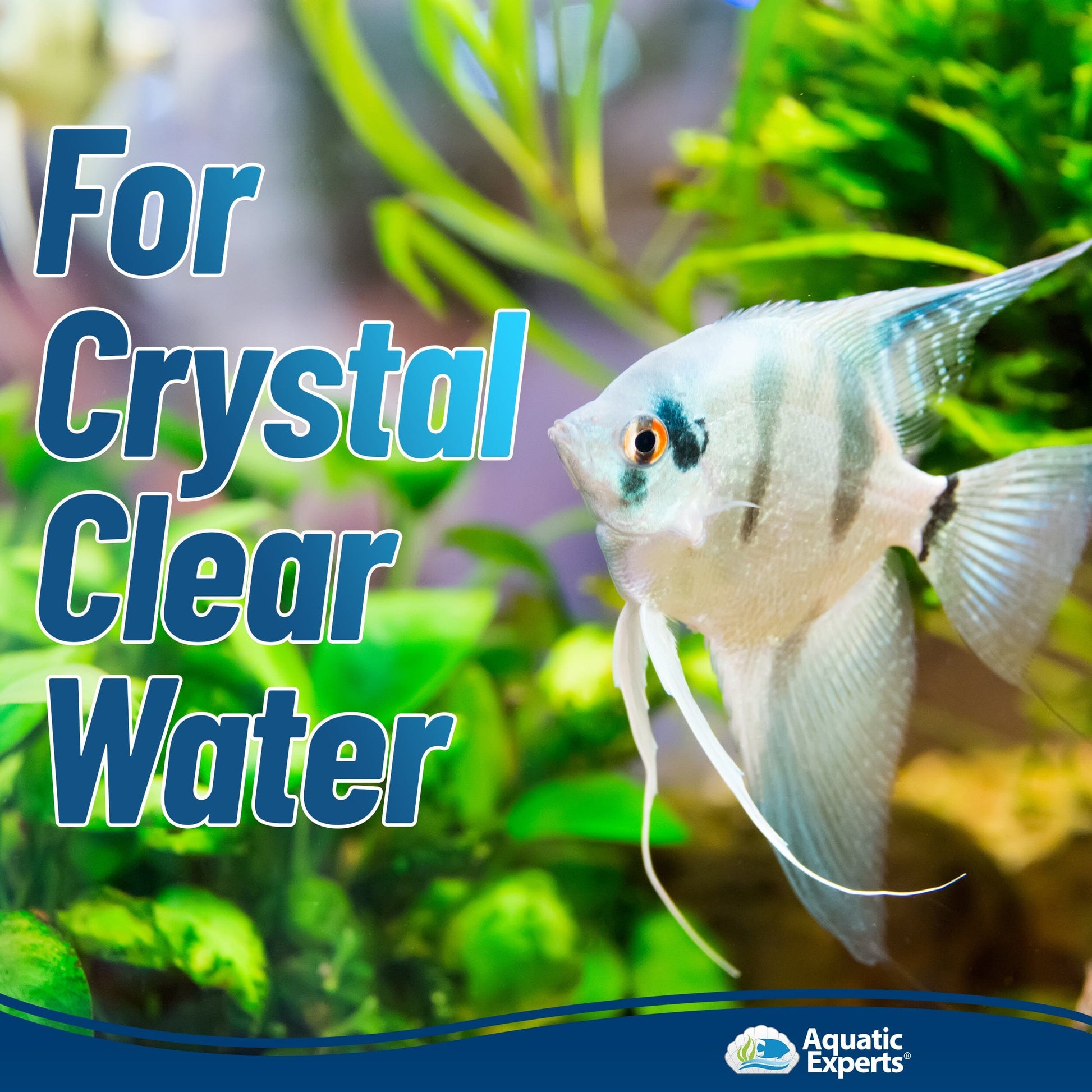 Aquarium Bundle - ClassicBlue 12"x72" + FilterFirst 12"x72" + Polishing Filter Pad 100 Micron - 1 pack Aquatic Experts