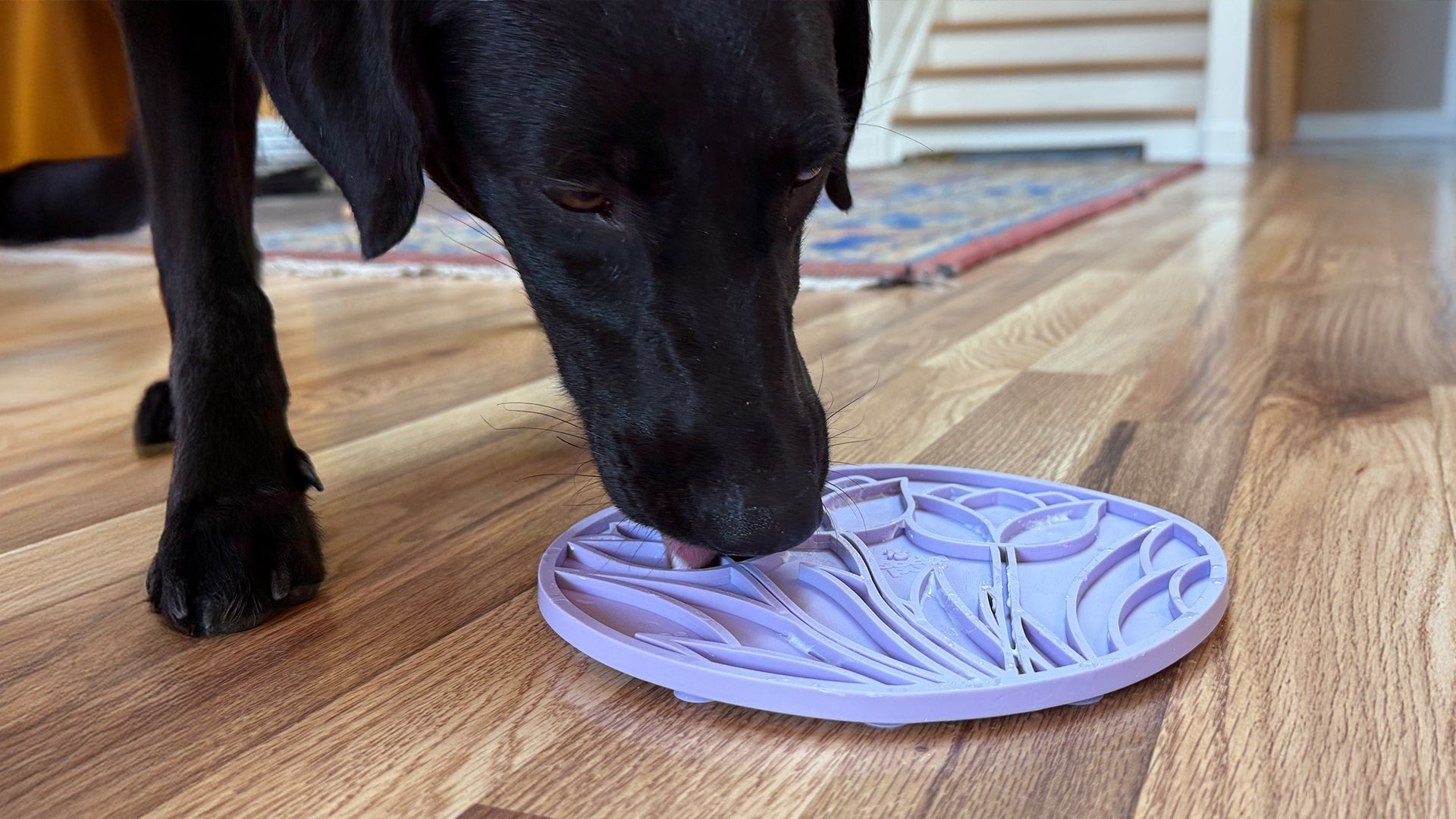 Tulip Design eMat - Enrichment Lick Mat with Suction Cups | USA Made EMAT SodaPup/True Dogs, LLC