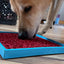 Vino Dog Lick Mat | Wine-Inspired eMat Enrichment Toy | SodaPup EMAT SodaPup/True Dogs, LLC
