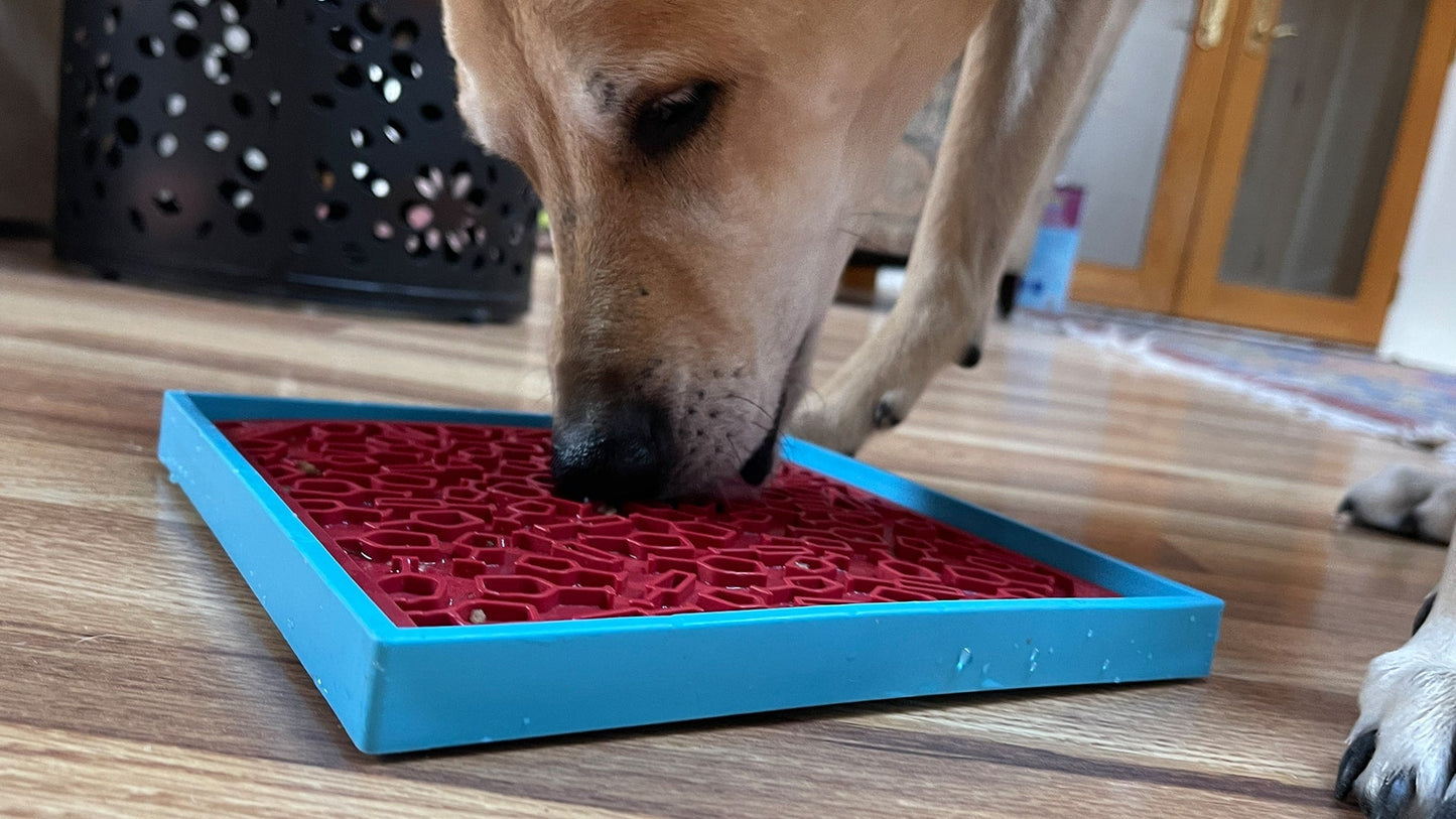 Vino Dog Lick Mat | Wine-Inspired eMat Enrichment Toy | SodaPup EMAT SodaPup/True Dogs, LLC