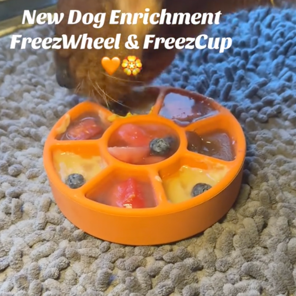 FreezWheel - Durable Interactive Chew Freezbone