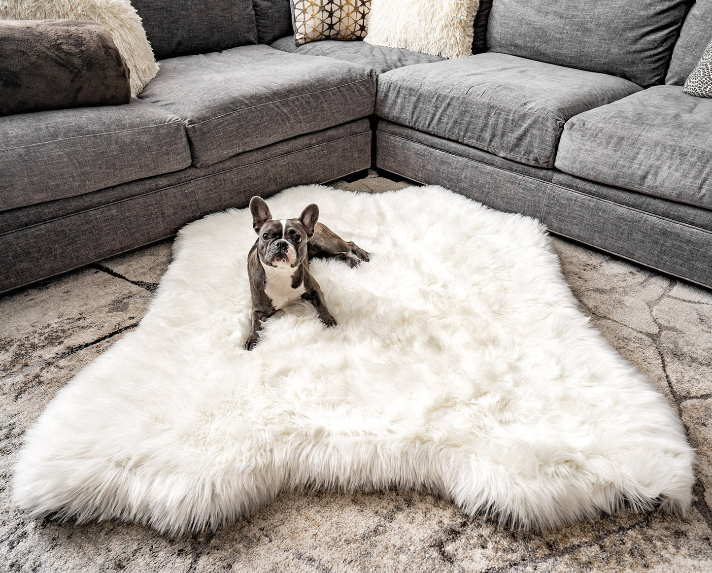 PupRug® Animal Print Memory Foam Dog Bed - Polar Bear Faux Hide Original (55" L x 50" W) Dog Beds Paw