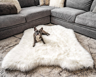 PupRug® Animal Print Memory Foam Dog Bed - Polar Bear Faux Hide Original (55" L x 50" W) Dog Beds Paw