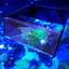 Top Down Viewer Zoa - 8" panel Show Flipper Aquarium Products