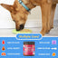 Salmon and Ghee Meat Spread | NEW 12oz Jar Dog Treat Visionary Pet Foods