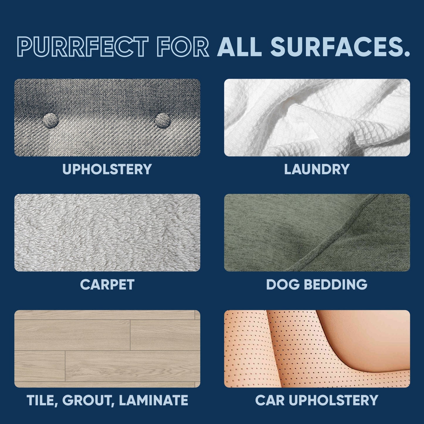 Cat Stain and Odor Eliminator Pet & Animal > Cat Stain & Odor EcoStrong