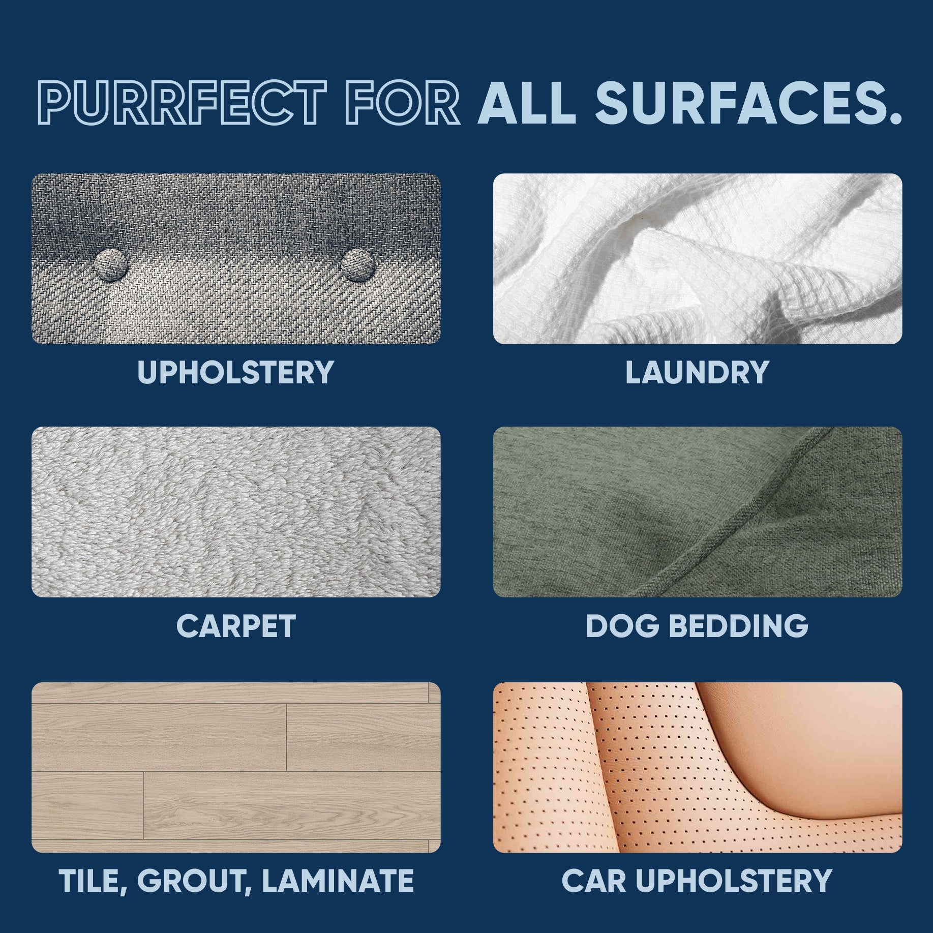 Cat Stain and Odor Eliminator Pet & Animal > Cat Stain & Odor EcoStrong