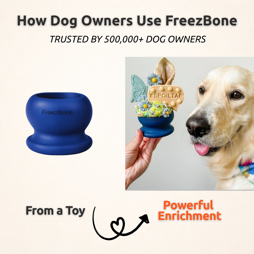 Freezball - Durable Fillable Dog Chew Bone Freezbone