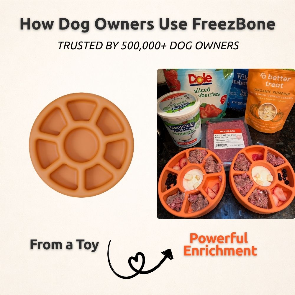 FreezWheel - Durable Interactive Chew Freezbone