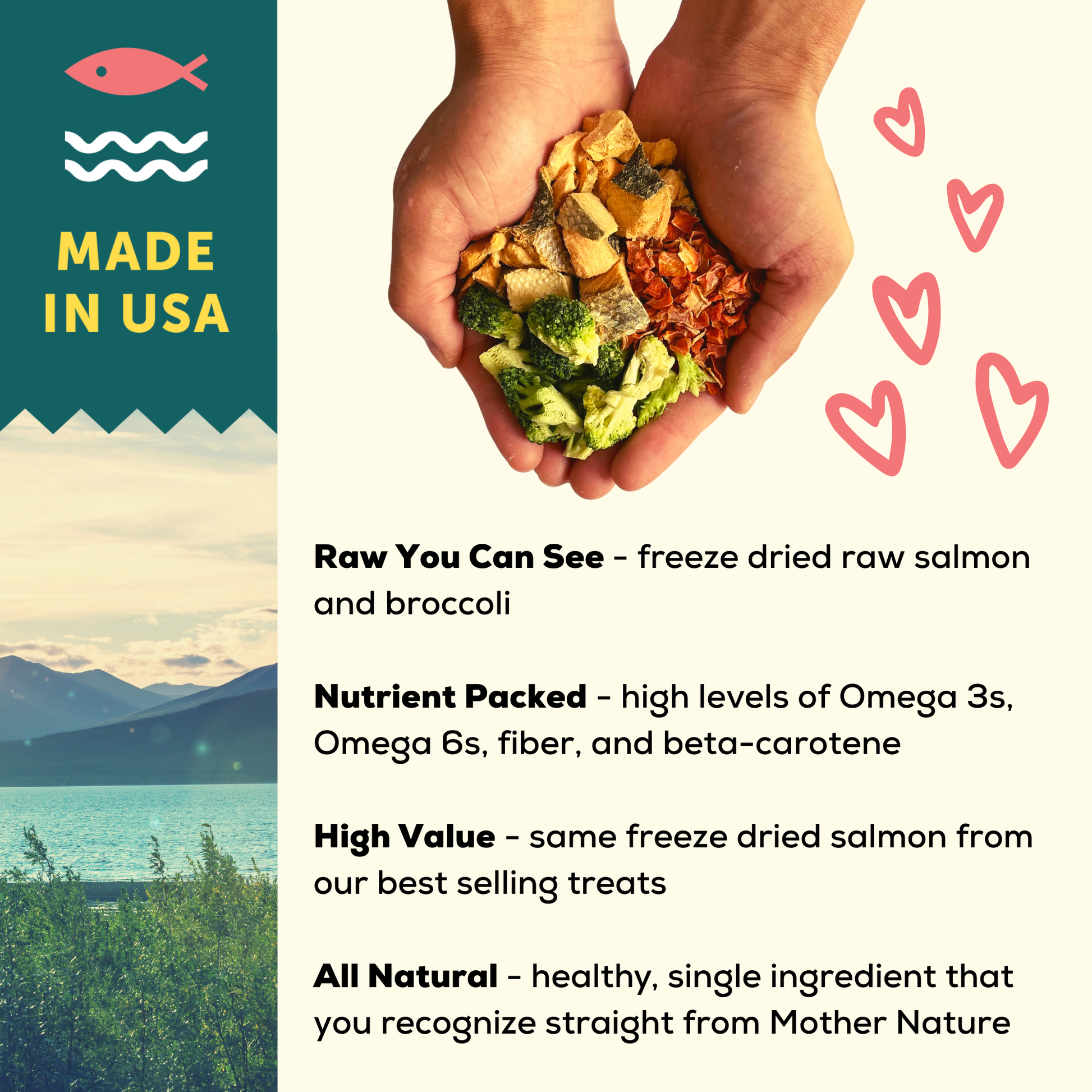 A Better Dog Food Salmon - Raw You Can See A Better Treat