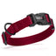 Nylon Flat Dog Collar Berry Dog Collars Dogline
