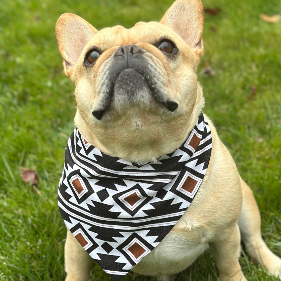 Southwest Dog Bandana Dog Bandana Happy Tails Outfitters