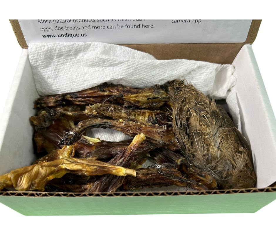 Quail Wing Dog Training Kit - Nutritious Dog Treats and Quail Wing for Effective Dog Training Sessions - Reinforce Positive Behaviors with Training Treats - Not Suitable for Small Breeds Dog Treats Quailz.com by Undique LLC