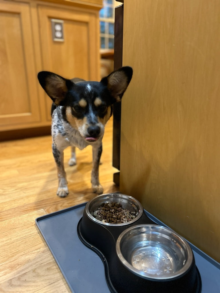 Pet Cotton Candy - Quail All Natural Protein-Rich Fluffy Treat for All Pets, one Ingredient only pet Treat and Food Topper for picky Eaters or gourmets. Made from Premium Quail Meat Quailz.com by Undique LLC