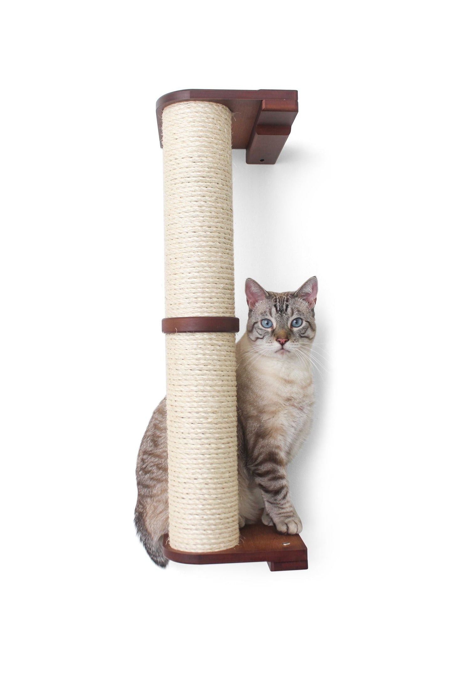 Wall Mounted Cat Climbing Pole - Sisal English Chestnut Bamboo 2-Tier No Leaf Shelf Cat Scratcher Catastrophic Creations
